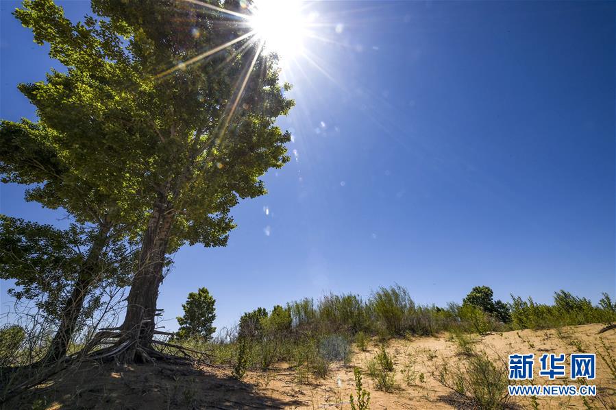 (新華全媒頭條·壯麗70年·奮斗新時(shí)代·圖文互動(dòng))(5)中國(guó)減貧的西海固報(bào)告