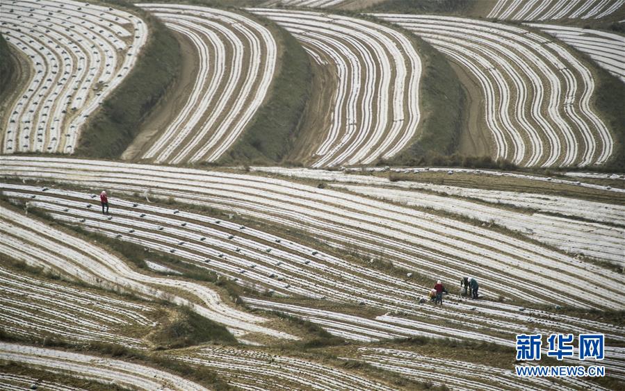 (新華全媒頭條·壯麗70年·奮斗新時(shí)代·圖文互動(dòng))(7)中國(guó)減貧的西海固報(bào)告