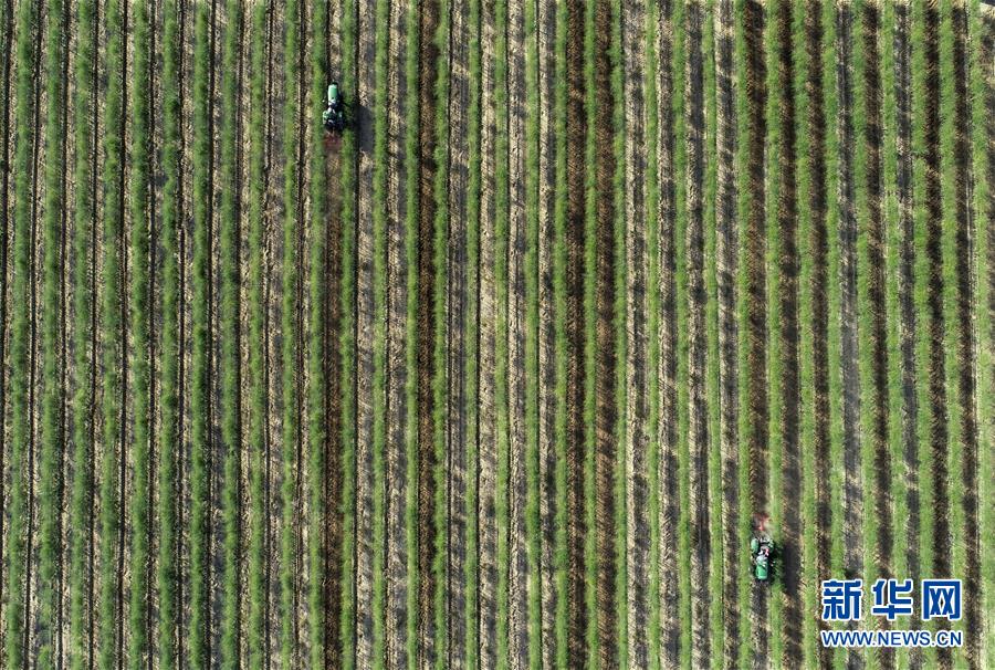 (新華全媒頭條·壯麗70年·奮斗新時(shí)代·圖文互動(dòng))(8)中國(guó)減貧的西海固報(bào)告