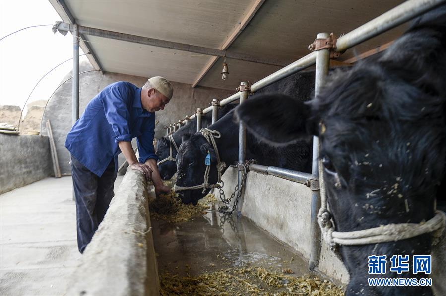 (新華全媒頭條·壯麗70年·奮斗新時(shí)代·圖文互動(dòng))(10)中國(guó)減貧的西海固報(bào)告