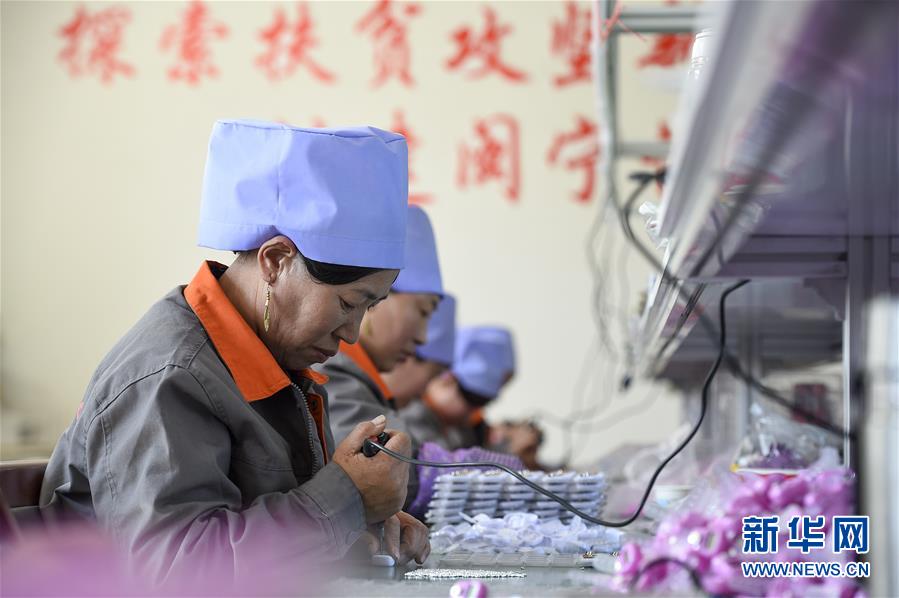 (新華全媒頭條·壯麗70年·奮斗新時(shí)代·圖文互動(dòng))(14)中國(guó)減貧的西海固報(bào)告