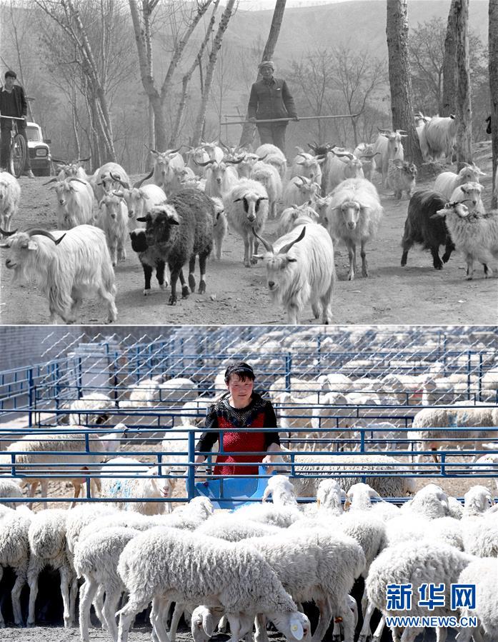 (新華全媒頭條·圖文互動(dòng))(4)不忘初心使命 永立時(shí)代潮頭——寫在中國(guó)共產(chǎn)黨成立98周年之際