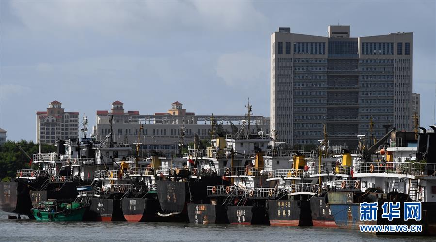 （社會(huì)）（1）?？冢捍盎馗郾芘_(tái)風(fēng)