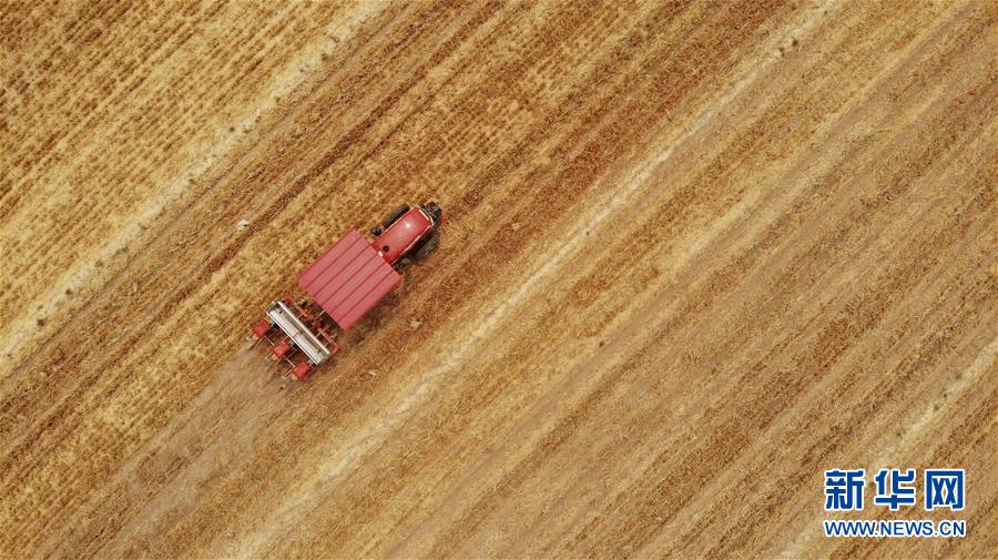 （新華全媒頭條&middot;圖文互動）（7）一個傳統(tǒng)農(nóng)業(yè)縣的脫貧之路&mdash;&mdash;來自河北新河的調(diào)查報告