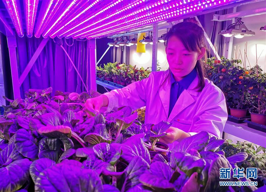 （愛國情 奮斗者&middot;圖文互動(dòng)）（5）池建義團(tuán)隊(duì)：把論文寫在產(chǎn)品上