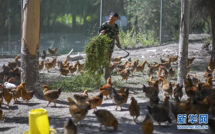 （新華全媒頭條&middot;圖文互動）（6）同心援疆，&ldquo;壯闊&rdquo;祖國西北角