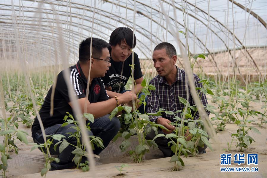（新華全媒頭條&middot;圖文互動）（10）同心援疆，&ldquo;壯闊&rdquo;祖國西北角