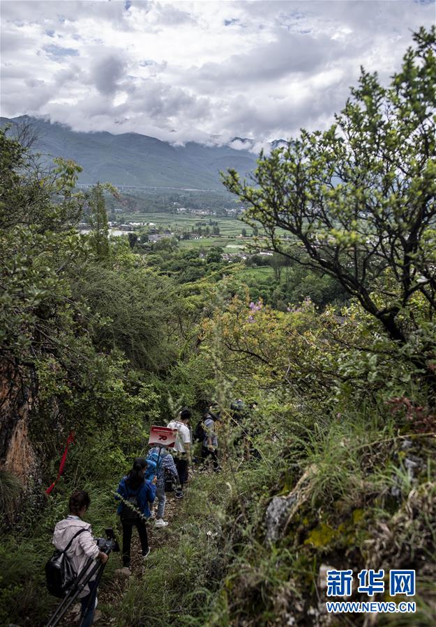 (壯麗70年·奮斗新時(shí)代——記者再走長征路·圖文互動(dòng))(2)麗江古城的紅色記憶