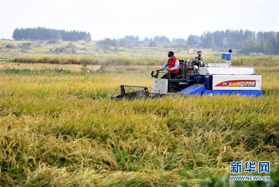 （壯麗70年&middot;奮斗新時(shí)代&mdash;&mdash;共和國發(fā)展成就巡禮&middot;圖文互動(dòng)）（3）安徽70年：改革創(chuàng)新書寫時(shí)代答卷