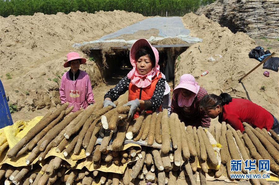 （在習(xí)近平新時代中國特色社會主義思想指引下&mdash;&mdash;新時代新作為新篇章&middot;圖文互動）（4）中條山下綠意濃&mdash;&mdash;一個&ldquo;資源窮縣&rdquo;的生態(tài)發(fā)展之路