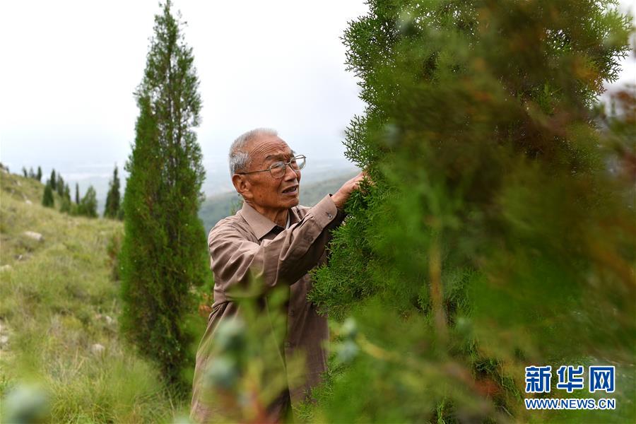 （在習(xí)近平新時代中國特色社會主義思想指引下&mdash;&mdash;新時代新作為新篇章&middot;圖文互動）（5）中條山下綠意濃&mdash;&mdash;一個&ldquo;資源窮縣&rdquo;的生態(tài)發(fā)展之路