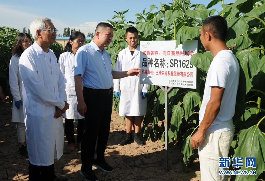 (愛(ài)國(guó)情 奮斗者·圖片互動(dòng))(3)張永平:像打造“中國(guó)芯”一樣打造“中國(guó)葵”