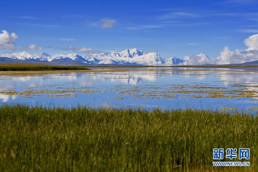 (壯麗70年·奮斗新時代——共和國發(fā)展成就巡禮·圖文互動)(8)人間奇跡在高原——新中國成立70年西藏發(fā)展成就紀(jì)實