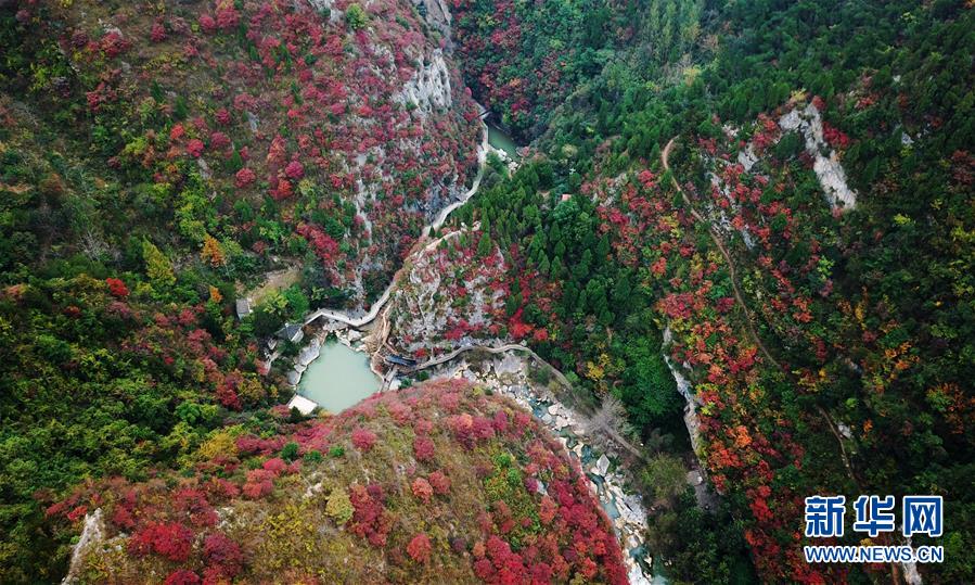 (壯麗70年·奮斗新時代——共和國發(fā)展成就巡禮·圖文互動)(2)以“綠色”身姿站上發(fā)展前沿——甘肅綠色轉(zhuǎn)型發(fā)展紀(jì)實