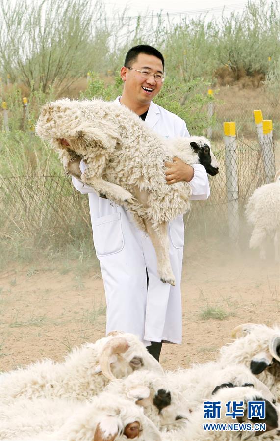 （壯麗70年&middot;奮斗新時(shí)代&mdash;&mdash;共和國發(fā)展成就巡禮&middot;圖文互動(dòng)）（3）生態(tài)美、百姓富&mdash;&mdash;品讀嶄新&ldquo;寧夏畫卷&rdquo;