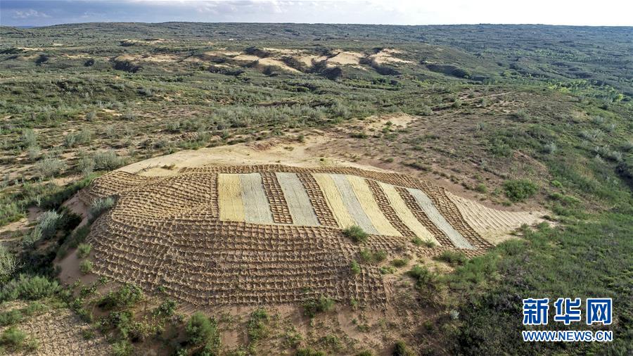 （壯麗70年&middot;奮斗新時(shí)代&mdash;&mdash;共和國發(fā)展成就巡禮&middot;圖文互動(dòng)）（6）生態(tài)美、百姓富&mdash;&mdash;品讀嶄新&ldquo;寧夏畫卷&rdquo;