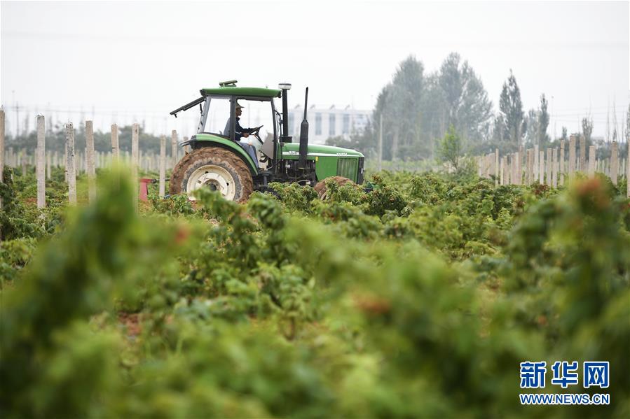 （壯麗70年&middot;奮斗新時(shí)代&mdash;&mdash;共和國發(fā)展成就巡禮&middot;圖文互動(dòng)）（10）生態(tài)美、百姓富&mdash;&mdash;品讀嶄新&ldquo;寧夏畫卷&rdquo;