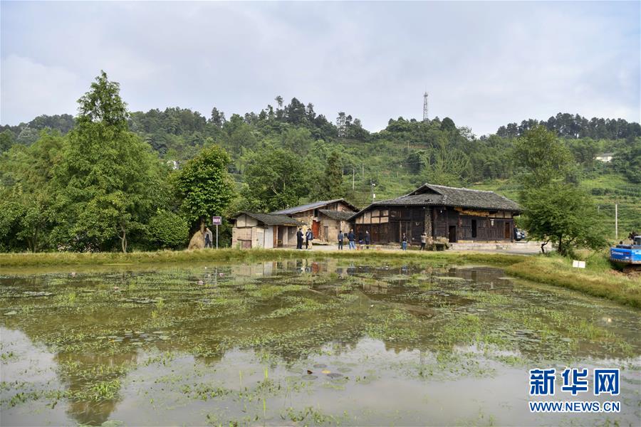 (來(lái)自一線的調(diào)查報(bào)告·圖文互動(dòng))(2)利益聯(lián)結(jié)強(qiáng)產(chǎn)業(yè) 打通城鄉(xiāng)促振興——重慶涪陵大順鄉(xiāng)鄉(xiāng)村振興觀察