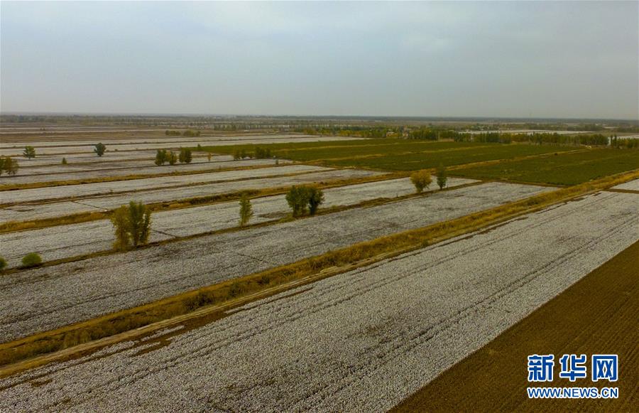 (壯麗70年·奮斗新時代——共和國發(fā)展成就巡禮·圖文互動)(1)鑄劍為犁造綠洲 安邊固疆筑“長城”——新疆生產建設兵團維穩(wěn)戍邊改革發(fā)展紀實