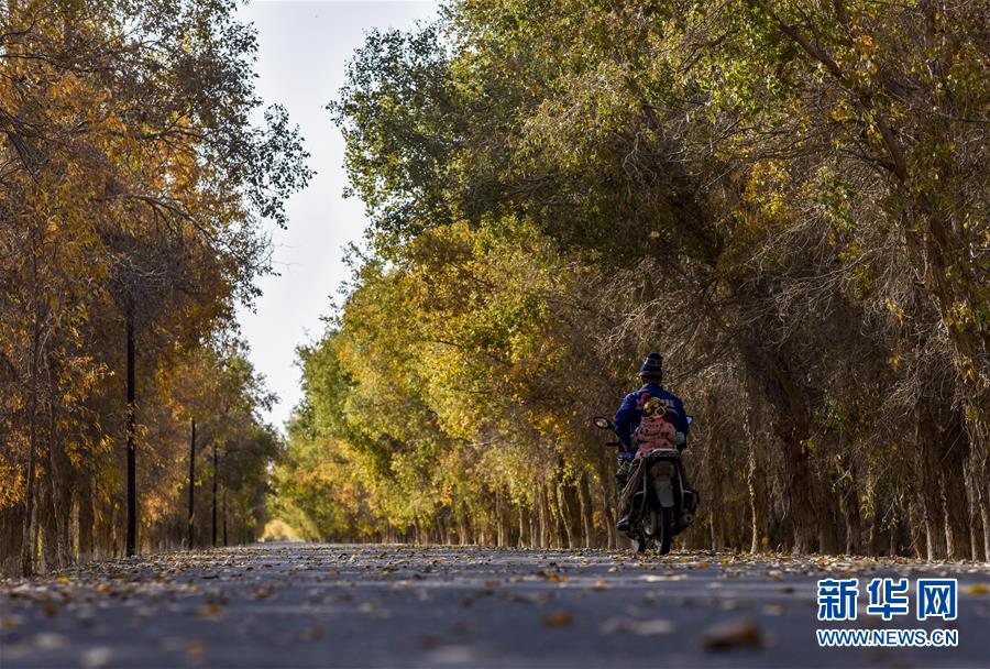 (壯麗70年·奮斗新時代——共和國發(fā)展成就巡禮·圖文互動)(2)鑄劍為犁造綠洲 安邊固疆筑“長城”——新疆生產建設兵團維穩(wěn)戍邊改革發(fā)展紀實