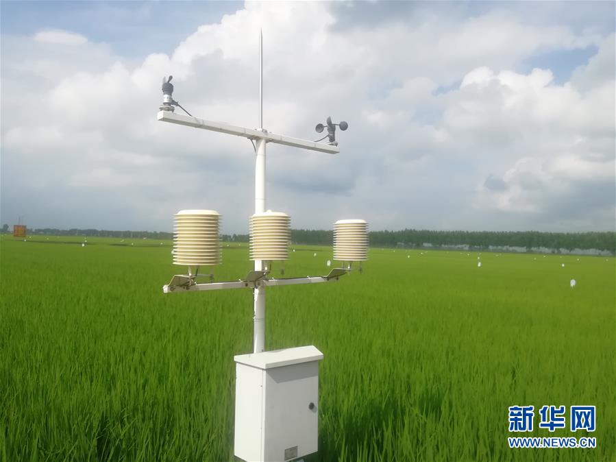 (在習近平新時代中國特色社會主義思想指引下——新時代新作為新篇章·圖文互動)(1)從“靠天吃飯”到“看天管理”——黑龍江創(chuàng)新氣象為農(nóng)服務(wù)體系觀察