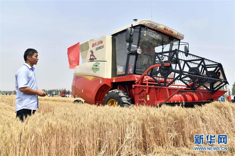 (壯麗70年·奮斗新時代——共和國發(fā)展成就巡禮)(2)看今朝齊風(fēng)魯韻 七十載芳華正勁——新中國成立以來山東領(lǐng)先發(fā)展紀(jì)實