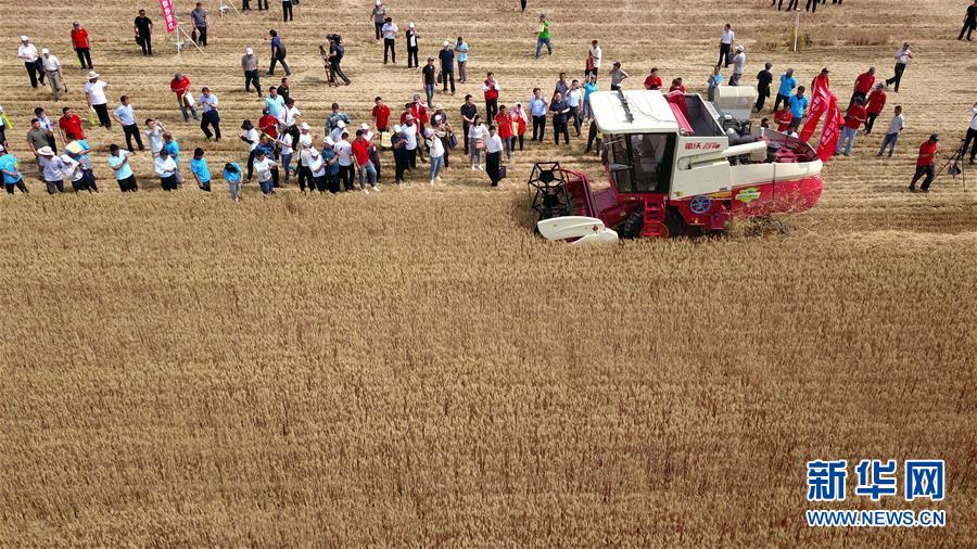 (壯麗70年·奮斗新時代——共和國發(fā)展成就巡禮)(3)看今朝齊風(fēng)魯韻 七十載芳華正勁——新中國成立以來山東領(lǐng)先發(fā)展紀(jì)實