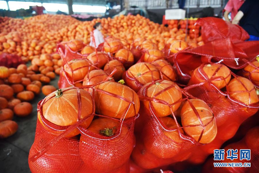 (壯麗70年·奮斗新時代——共和國發(fā)展成就巡禮)(6)看今朝齊風(fēng)魯韻 七十載芳華正勁——新中國成立以來山東領(lǐng)先發(fā)展紀(jì)實