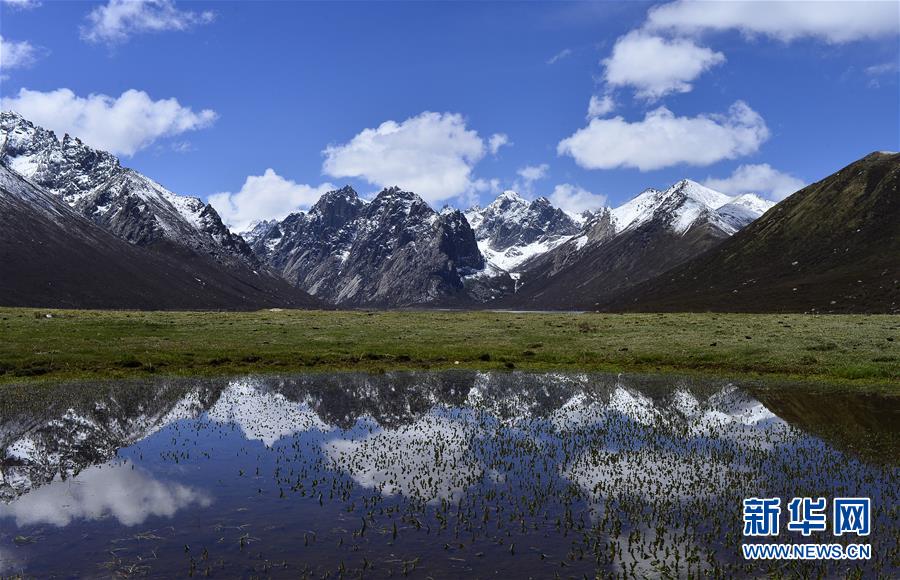 （今日關(guān)注&middot;第一屆國(guó)家公園論壇&middot;圖文互動(dòng)）（6）首個(gè)國(guó)家公園什么樣？專家?guī)阆?ldquo;睹&rdquo;為快
