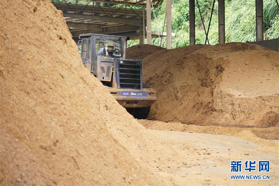 （在習(xí)近平新時(shí)代中國(guó)特色社會(huì)主義思想指引下&mdash;&mdash;新時(shí)代新作為新篇章&middot;總書記關(guān)心的百姓身邊事&middot;圖文互動(dòng)）（4）大污染變身&ldquo;大寶藏&rdquo;：治理畜禽糞污，他們這樣干！