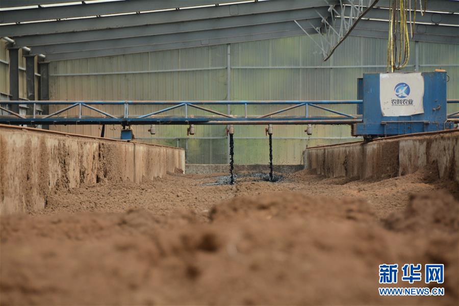 （在習(xí)近平新時(shí)代中國(guó)特色社會(huì)主義思想指引下&mdash;&mdash;新時(shí)代新作為新篇章&middot;總書記關(guān)心的百姓身邊事&middot;圖文互動(dòng)）（5）大污染變身&ldquo;大寶藏&rdquo;：治理畜禽糞污，他們這樣干！