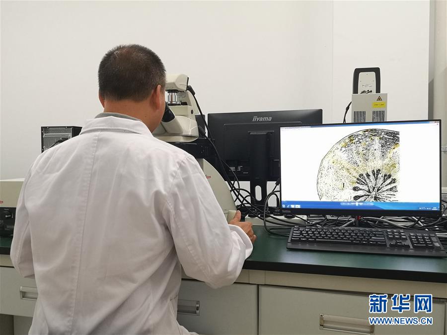 (新華調(diào)查·新中國(guó)考古重大發(fā)現(xiàn)·圖文互動(dòng))(5)?;韬睿翰粌H僅是“黃金大墓”