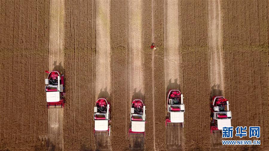 (“中國(guó)之度”系列述評(píng)·圖文互動(dòng))(8)中國(guó)速度——新中國(guó)成立70周年成就述評(píng)之三