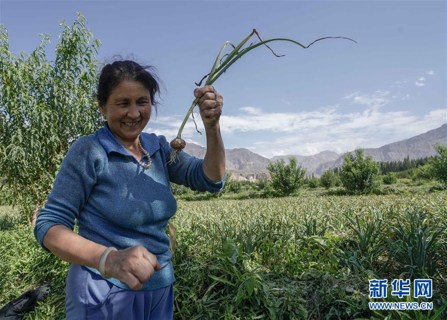 （決戰(zhàn)決勝脫貧攻堅(jiān)&middot;圖文互動）（1）記者手記：尋訪昆侖&ldquo;桃花源&rdquo;的&ldquo;祛病&rdquo;良方