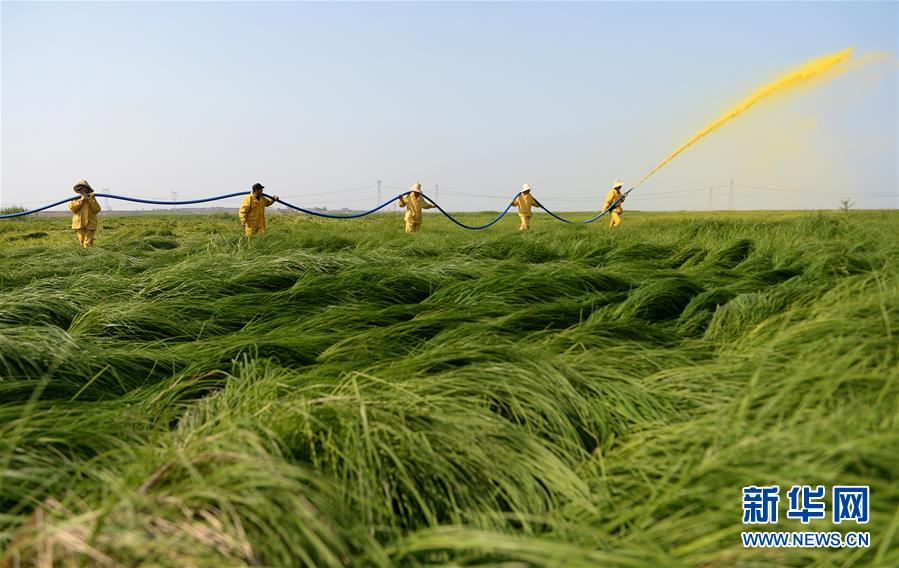 （紅土地&ldquo;往事新說&rdquo;&middot;圖文互動(dòng)）（11）昔日送&ldquo;瘟神&rdquo;  今朝健康促小康