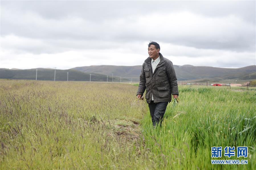 (新華全媒頭條·圖文互動)(8)確保“中華水塔”碧水東流——中國三江源生態(tài)保護報告