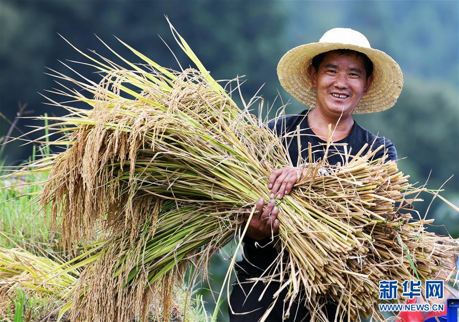 (全面深化改革·圖文互動(dòng))(2)“減”出效益 “融”出特色 “服”出動(dòng)力——貴州推進(jìn)農(nóng)村產(chǎn)業(yè)結(jié)構(gòu)調(diào)整觀(guān)察