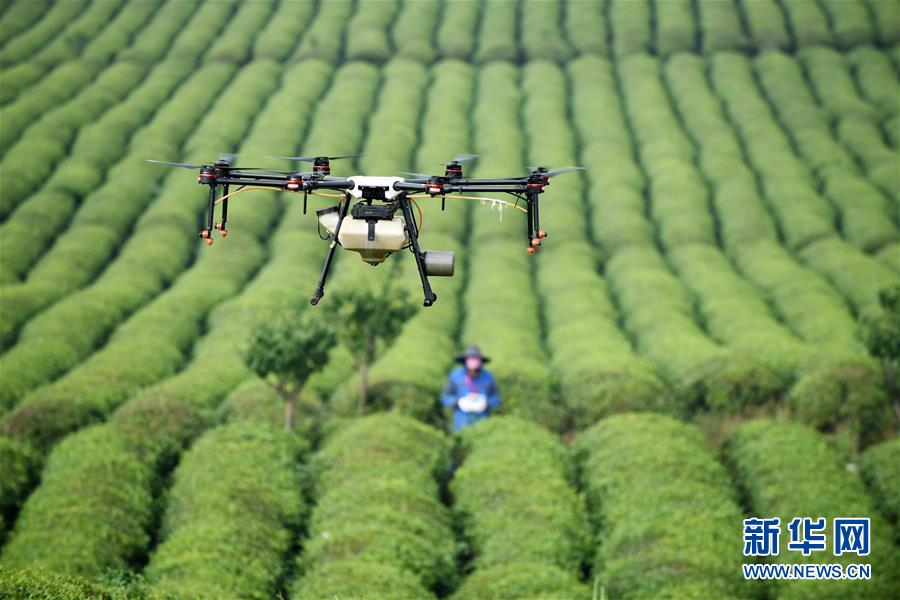 (全面深化改革·圖文互動(dòng))(6)“減”出效益 “融”出特色 “服”出動(dòng)力——貴州推進(jìn)農(nóng)村產(chǎn)業(yè)結(jié)構(gòu)調(diào)整觀(guān)察