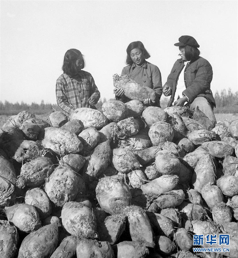 （圖文互動(dòng)）（2）為了&ldquo;中國(guó)號(hào)&rdquo;巨輪揚(yáng)帆遠(yuǎn)航&mdash;&mdash;中國(guó)共產(chǎn)黨領(lǐng)導(dǎo)下的人民軍隊(duì)忠于祖國(guó)、服務(wù)人民啟示錄