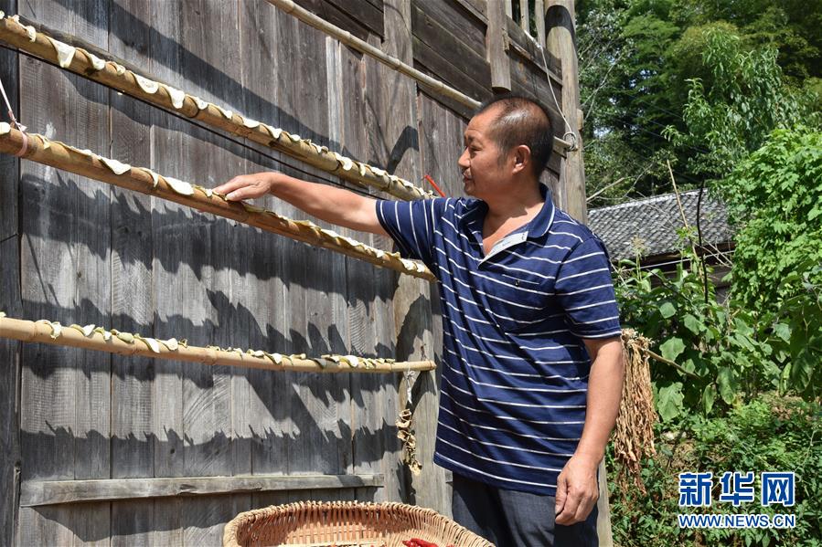 （愛國情 奮斗者&middot;圖文互動）（2）貴州印江高石坎護林隊：半輩子，以林場為家