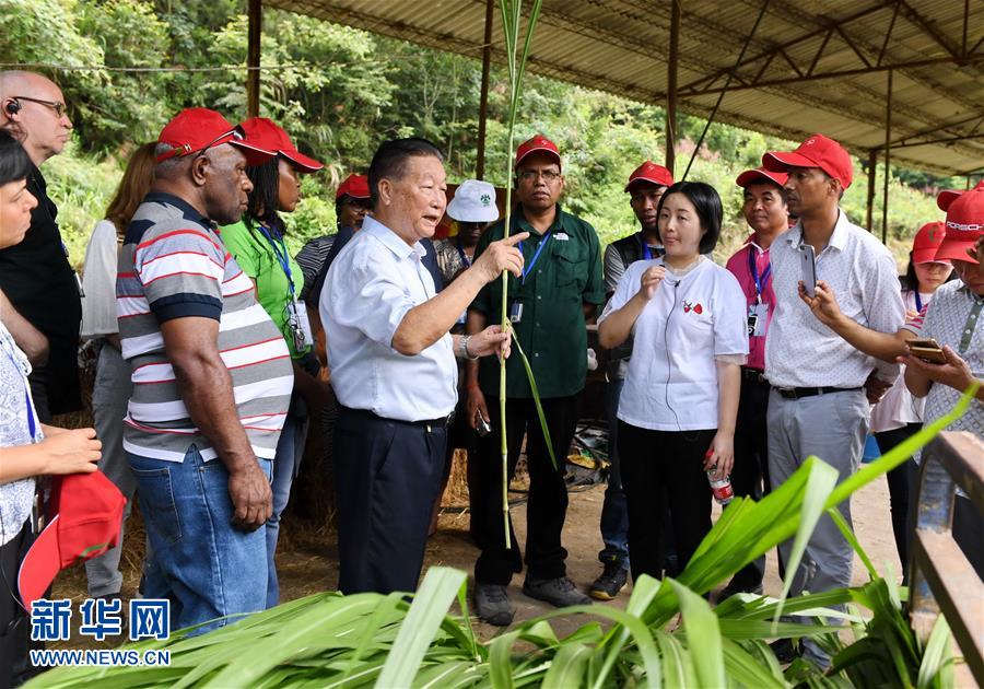 （不忘初心、牢記使命&middot;圖文互動(dòng)）（5）拳拳寸草心 濃濃報(bào)國(guó)情&mdash;&mdash;記&ldquo;菌草之父&rdquo;林占熺