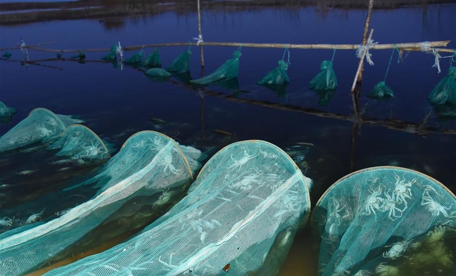 (在習(xí)近平新時(shí)代中國(guó)特色社會(huì)主義思想指引下——新時(shí)代新作為新篇章·總書記關(guān)心的百姓身邊事·圖文互動(dòng))(2)水潤(rùn)民心——全國(guó)農(nóng)村飲水安全攻堅(jiān)成效觀察