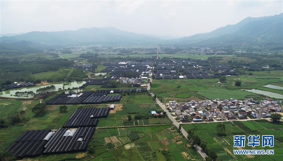 (在習(xí)近平新時(shí)代中國(guó)特色社會(huì)主義思想指引下——新時(shí)代新作為新篇章·總書記關(guān)心的百姓身邊事·圖文互動(dòng))(1)“科技秀才”給田野帶來(lái)新希望