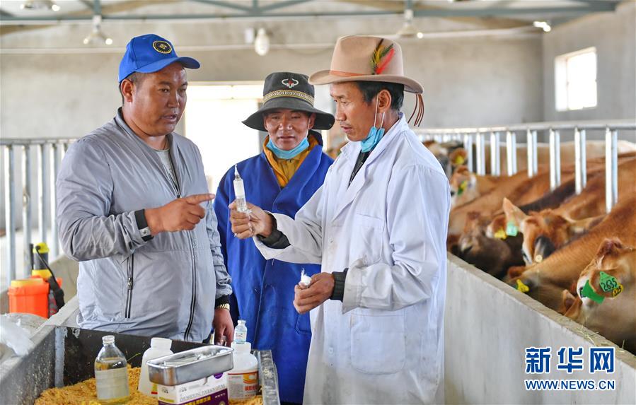 (新華全媒頭條·決戰(zhàn)決勝脫貧攻堅(jiān)·圖文互動)(4)歷史的決戰(zhàn) 偉大的創(chuàng)舉——“世界屋脊”上的反貧困奇跡