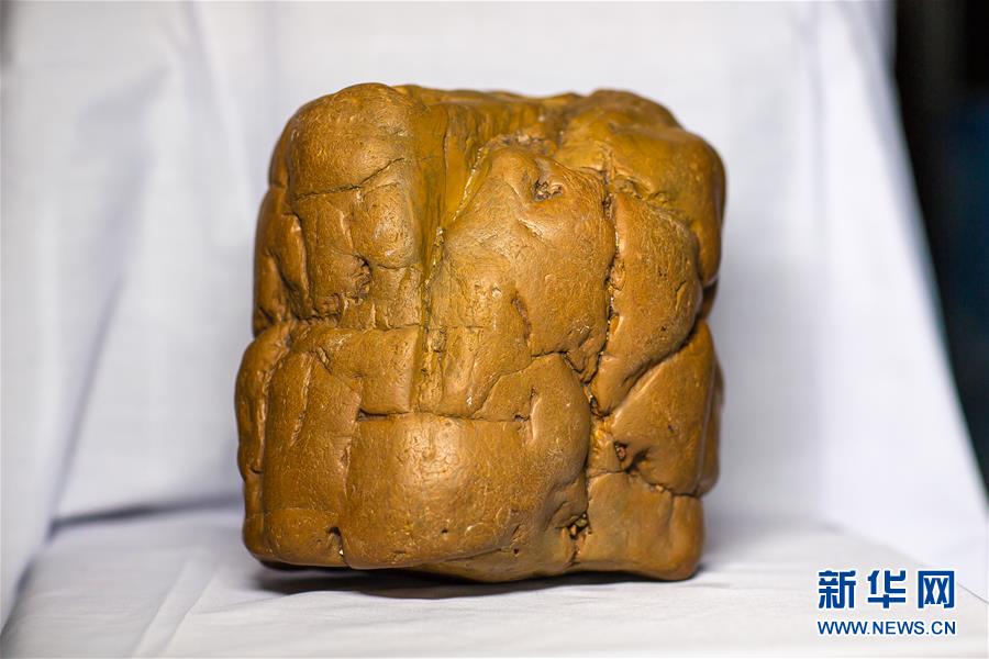 (圖文互動(dòng))(1)黑龍江海倫發(fā)現(xiàn)罕見古生物群