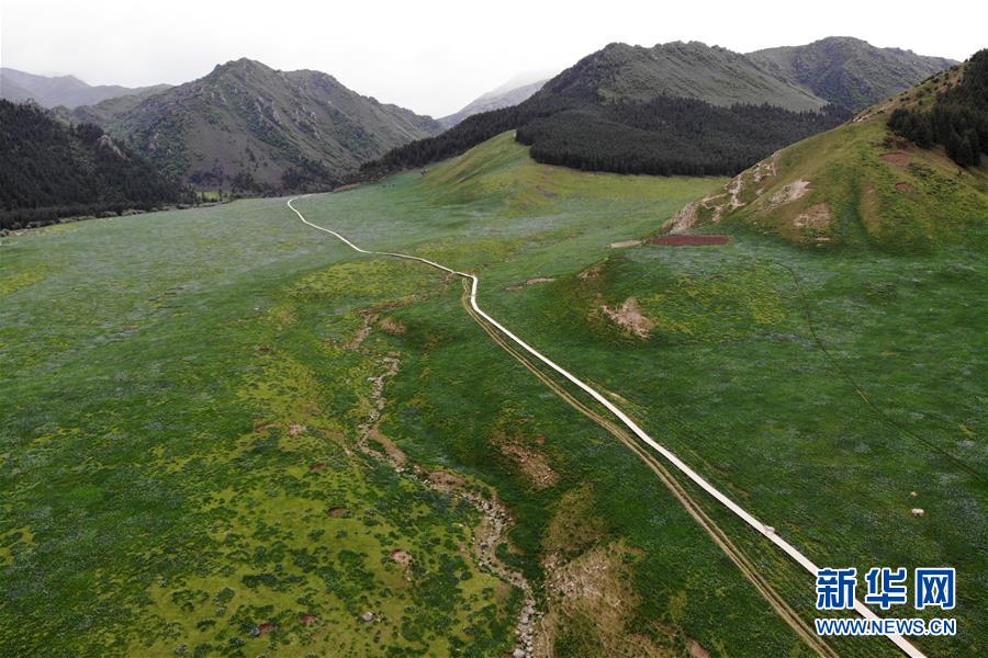 （新華全媒頭條&middot;圖文互動）（10）綠色的啟示&mdash;&mdash;西部地區(qū)生態(tài)問題典型個案再調(diào)查