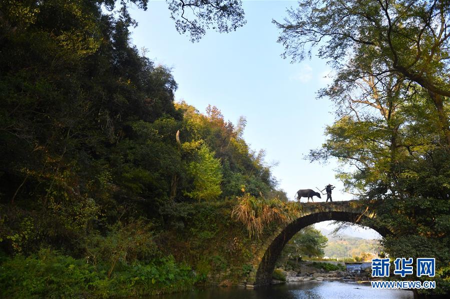 （圖文互動(dòng)）（3）鄉(xiāng)村攝影師、鄉(xiāng)村&ldquo;模特&rdquo;、民宿店主&mdash;&mdash;鄉(xiāng)村旅游推動(dòng)婺源農(nóng)民生活方式發(fā)生新變化