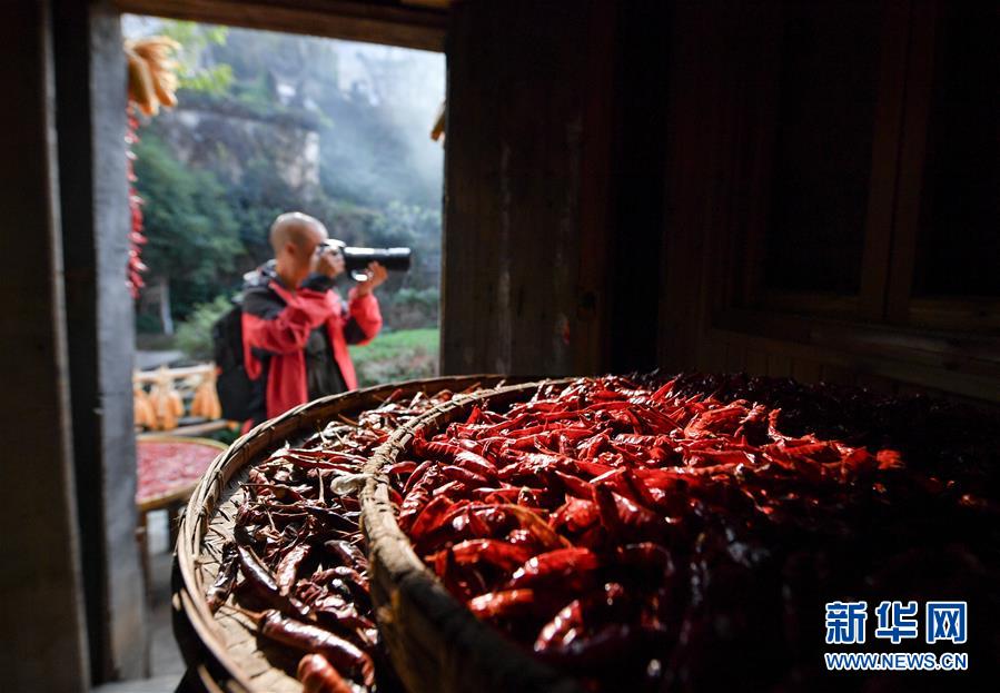 （圖文互動(dòng)）（6）鄉(xiāng)村攝影師、鄉(xiāng)村&ldquo;模特&rdquo;、民宿店主&mdash;&mdash;鄉(xiāng)村旅游推動(dòng)婺源農(nóng)民生活方式發(fā)生新變化