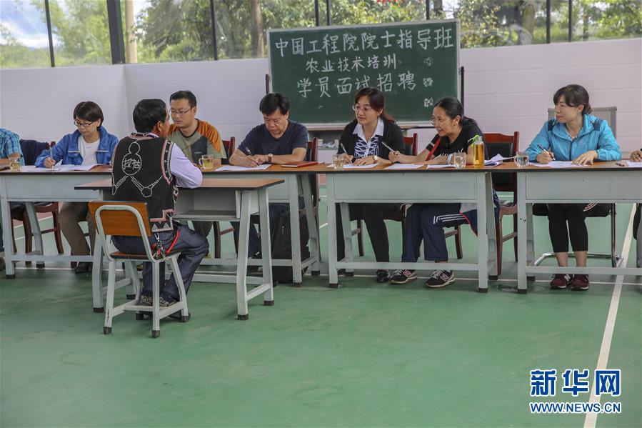 (新華全媒頭條·時代先鋒·圖文互動)(4)“要把論文寫在大地上”——記“農(nóng)民院士”朱有勇