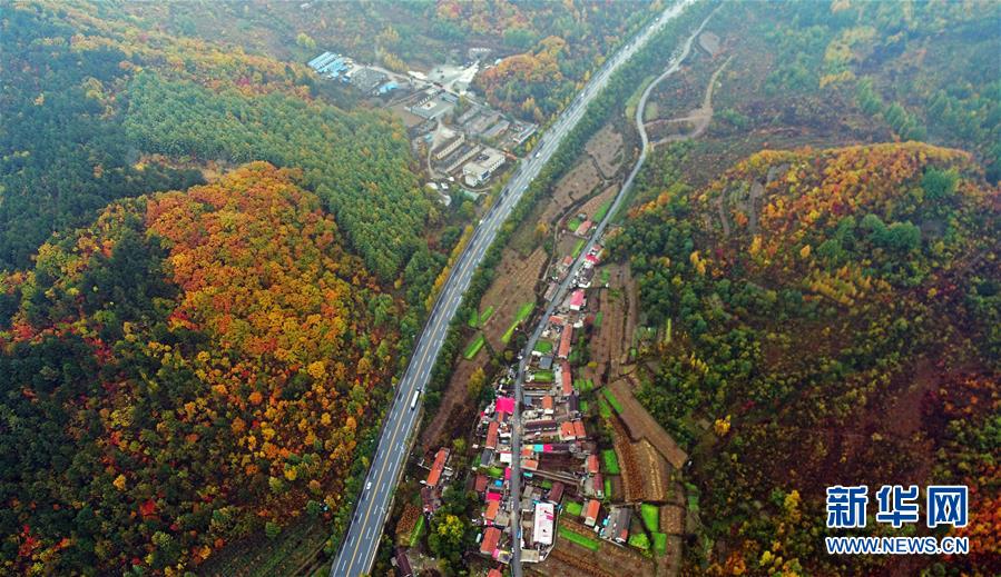 (新華全媒頭條·四中全會精神在基層·圖文互動(dòng))(6)沖破衰退循環(huán) 引領(lǐng)生態(tài)崛起——東北老工業(yè)基地城市本溪綠色轉(zhuǎn)型煥發(fā)朝氣